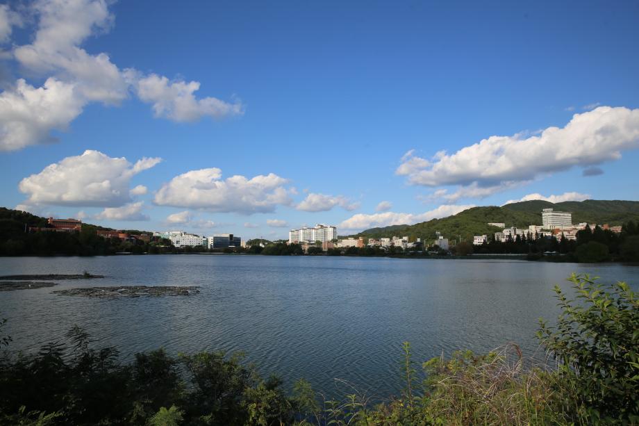 여름과 가을사이에 방문하면 좋을 천안의 천호지공원